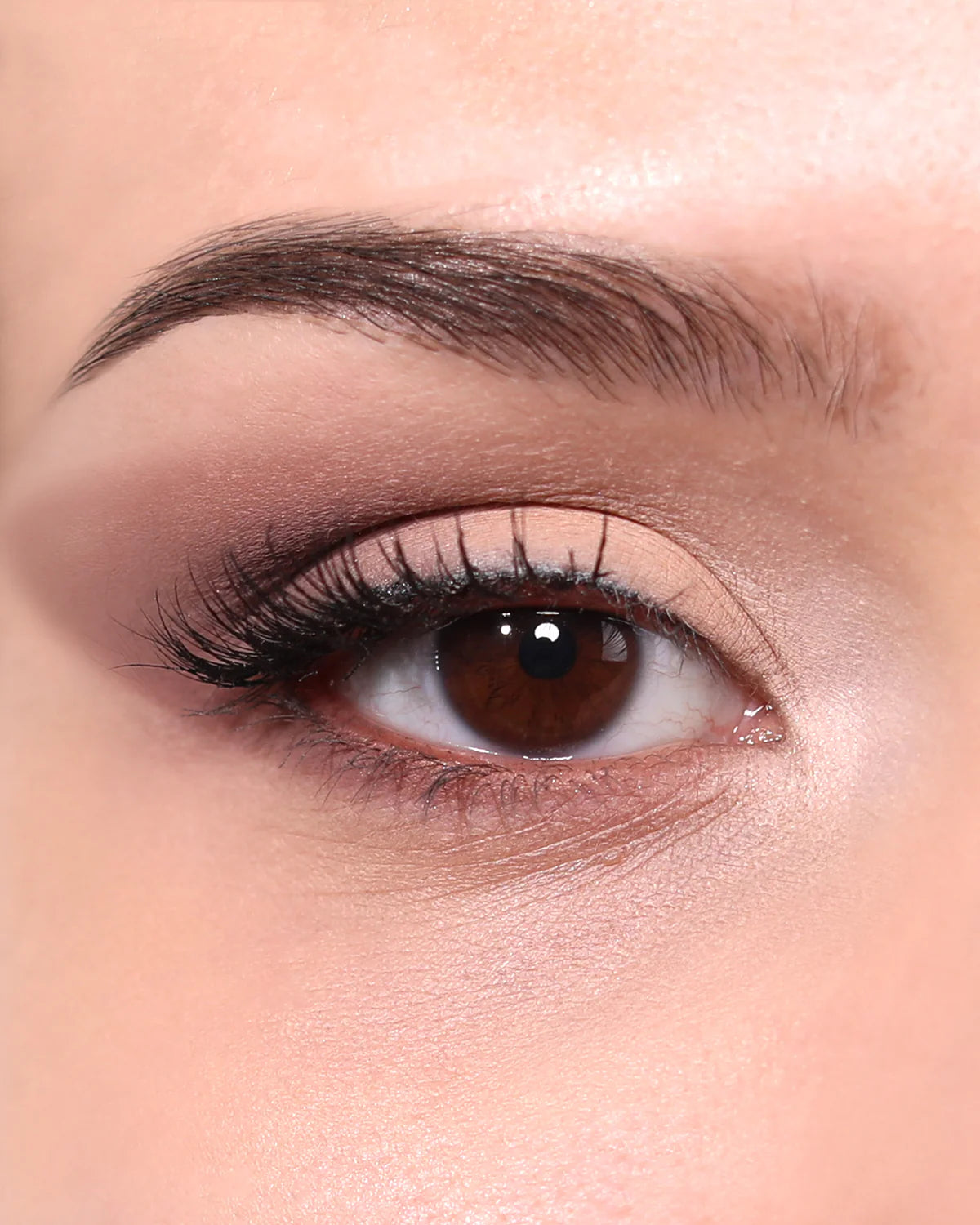 “Cosmic Desire” (Eyeshadow Palette) - Moira Cosmetics