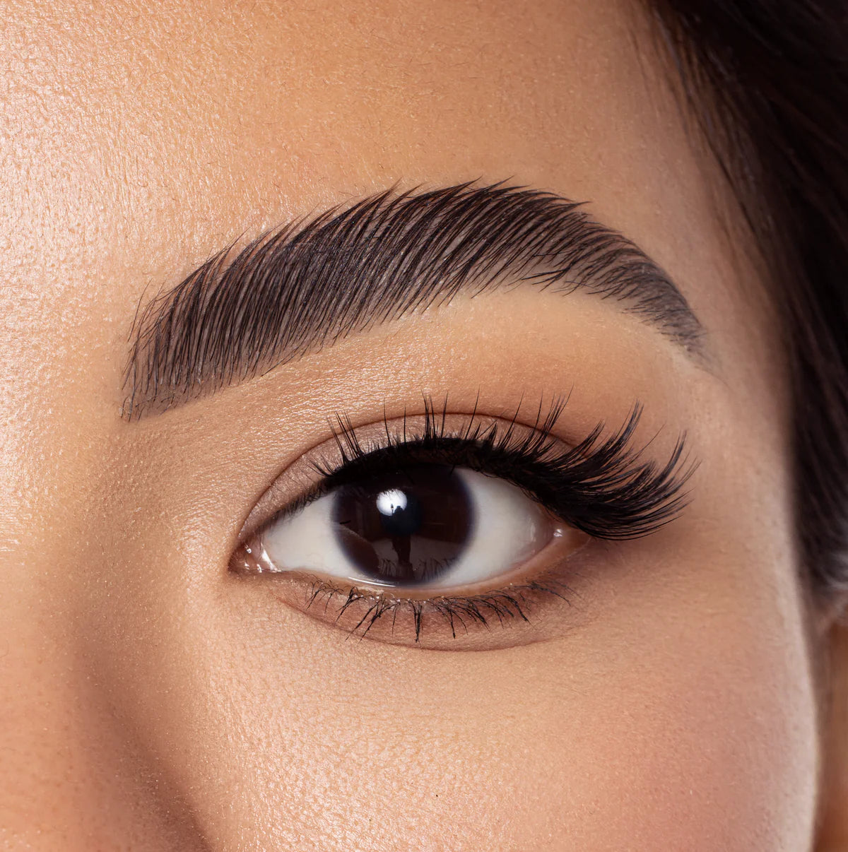 “Casually Lashed” - Lash Clusters - Beauty Creations