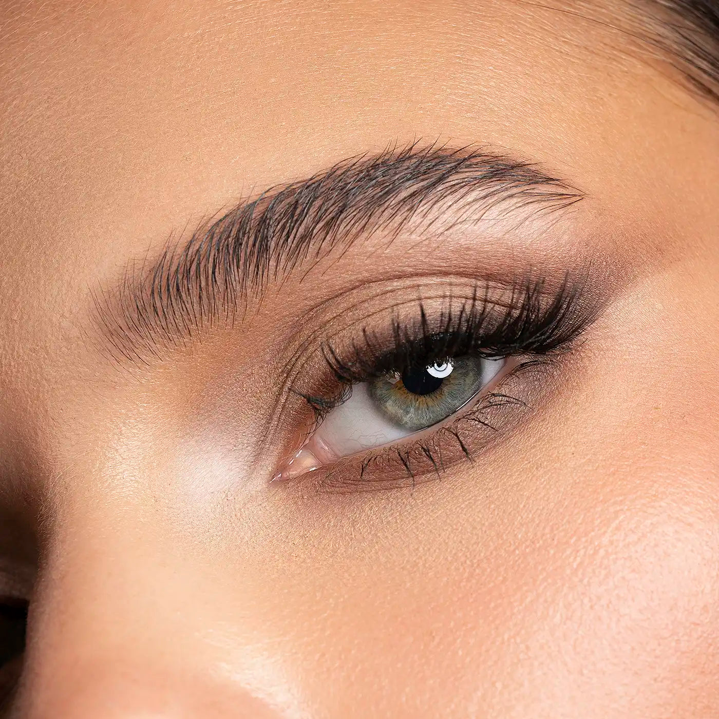 Shape Me - Paleta De Sombras - Arantza