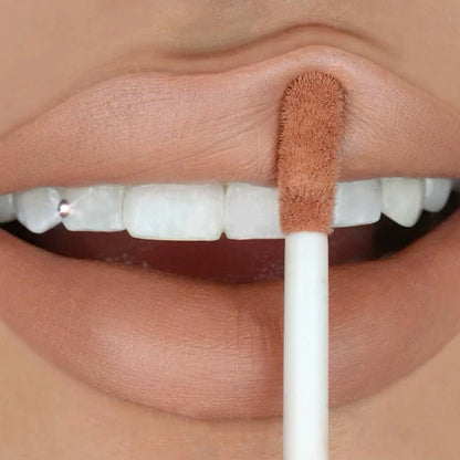 LIQUID LIPSTICK VELVET STAY LIP PAINT BEAUTY CREATIONS
