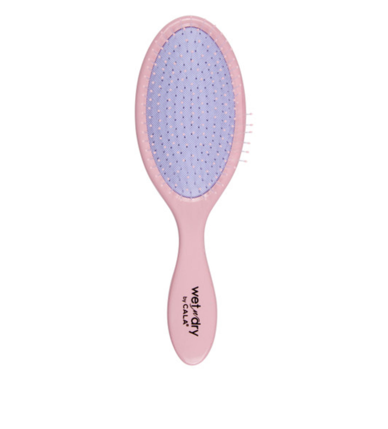 WET-N-DRY DETANGLING HAIR BRUSH (YOU GOT THIS BABE)